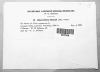 Image Associated With the Occurence